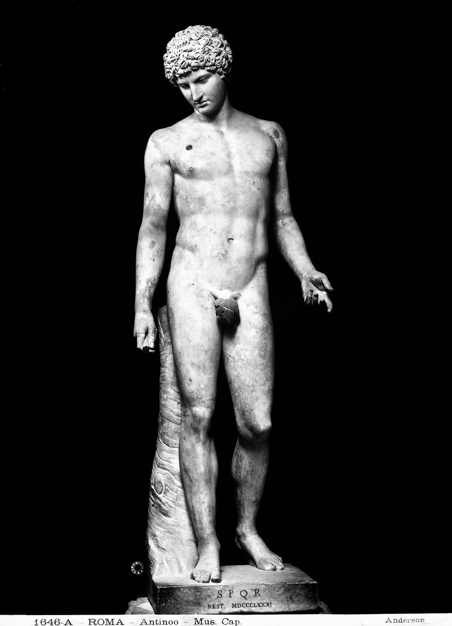 Antinous (mermer) by Roman Roman