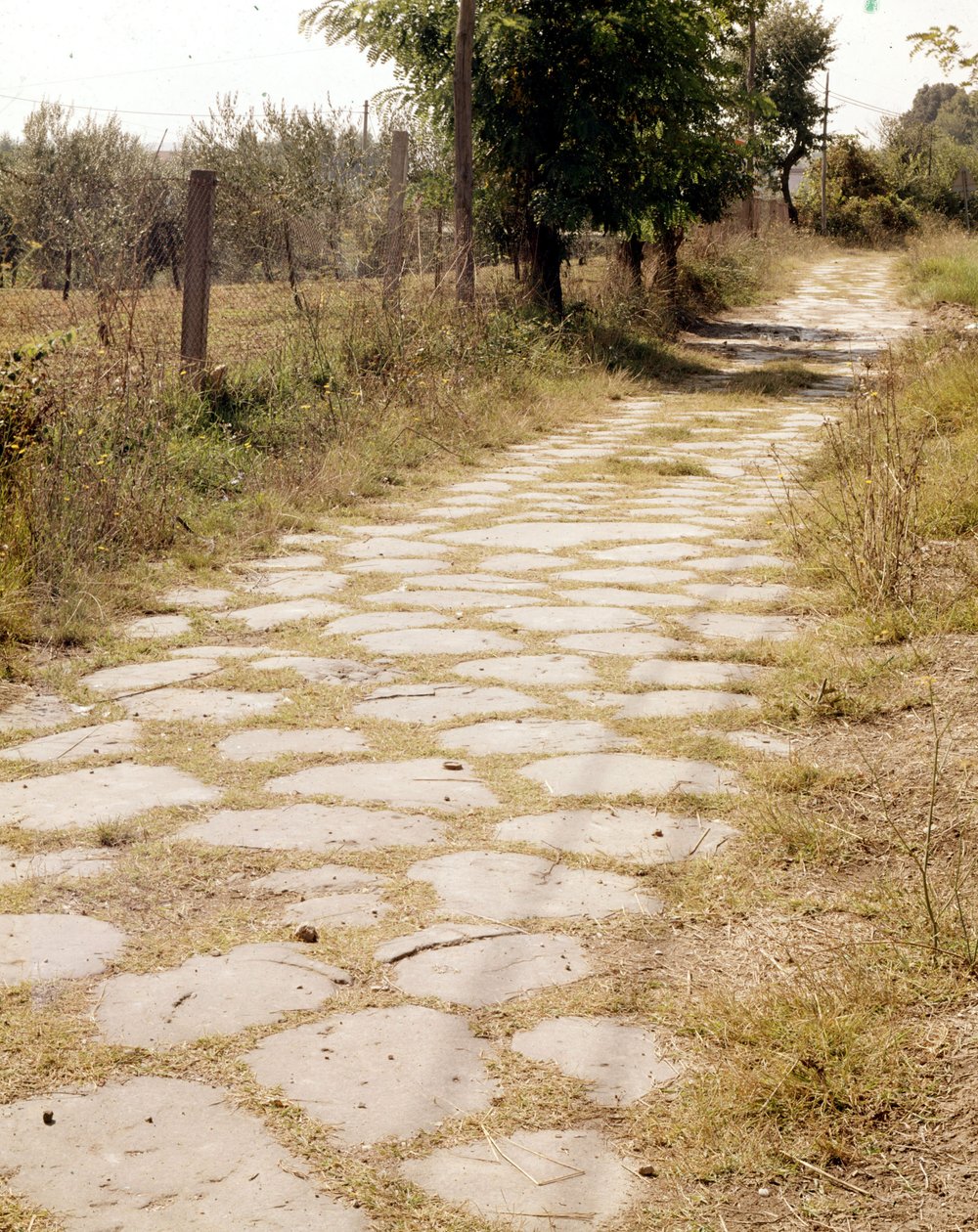 Via Flaminia, Roma. by Roman Roman