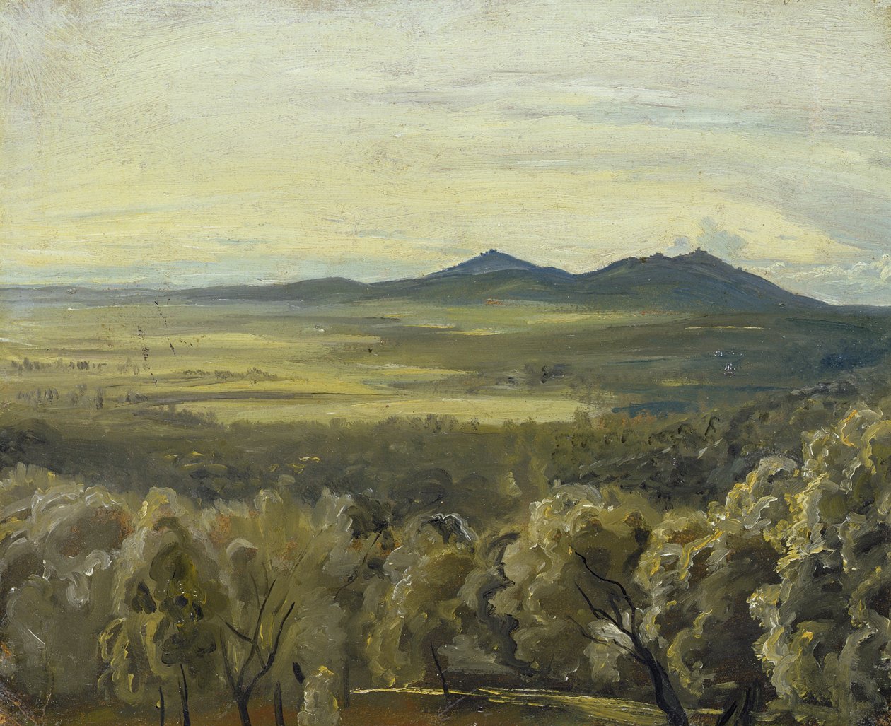 Italian Landscape, 1833 (oil on paper laid down on paperboard) by Rudolph Friedrich Wasmann