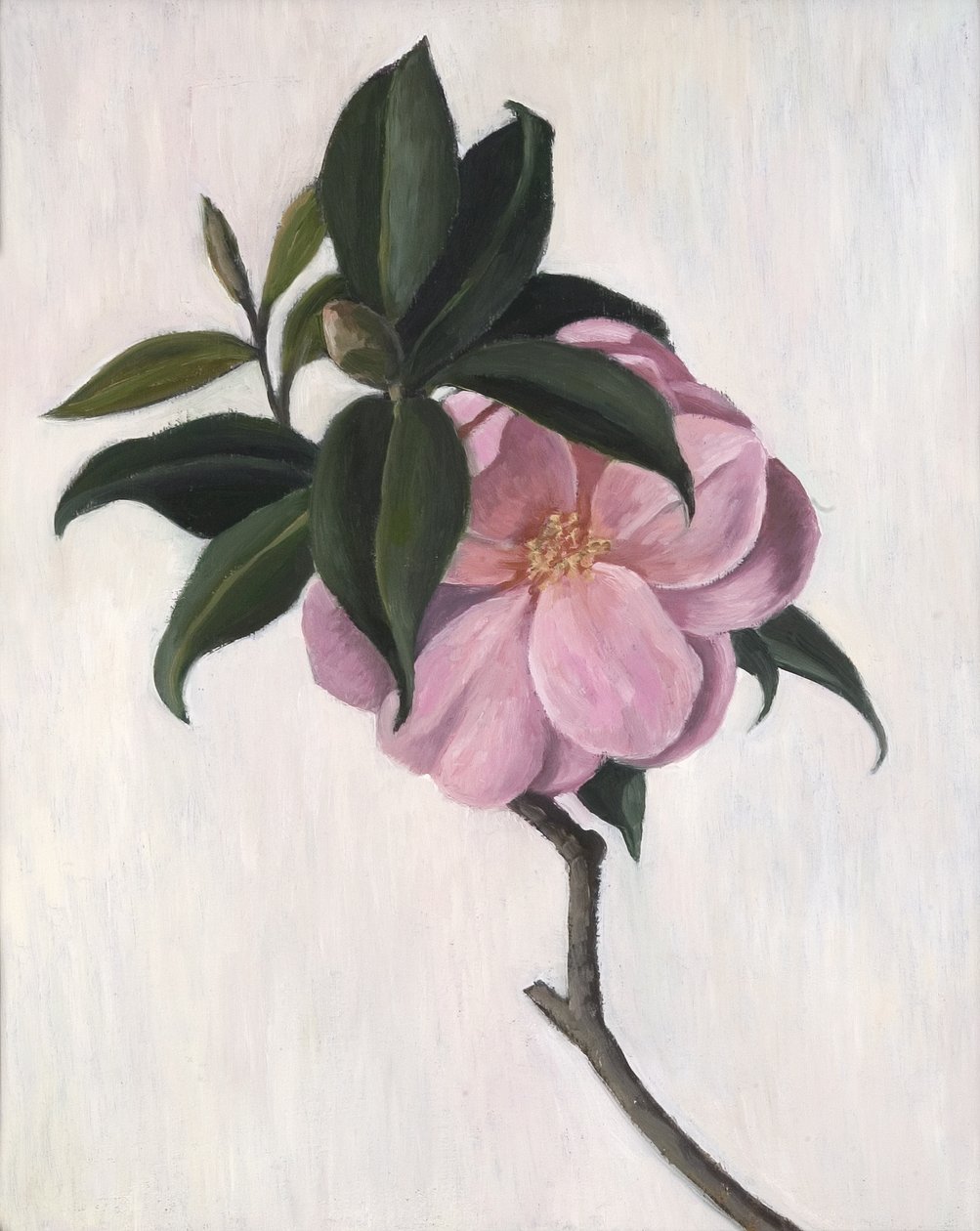Kamelya, 1998 by Ruth Addinall