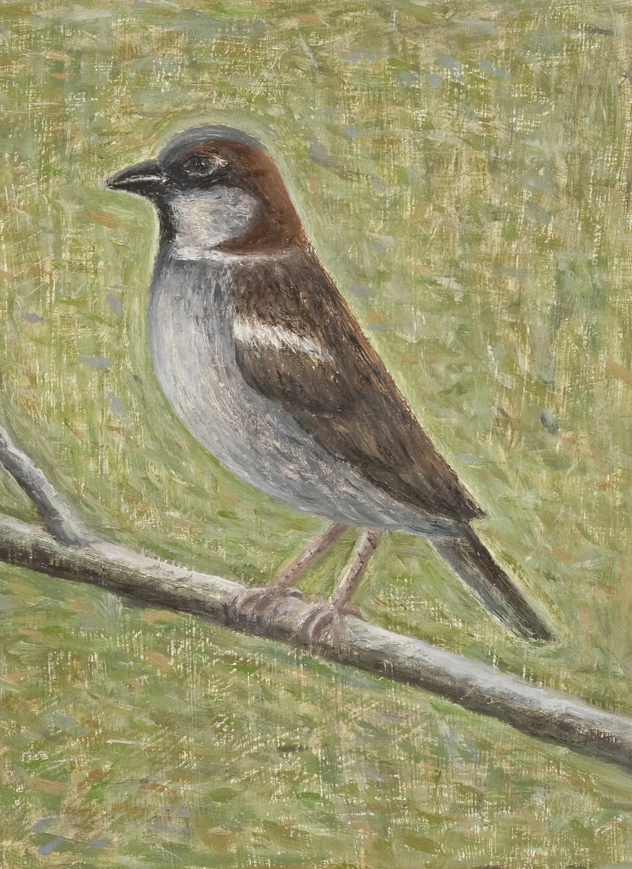 Serçe Evi, 2008 (tahta üzerine yağlı boya) by Ruth Addinall