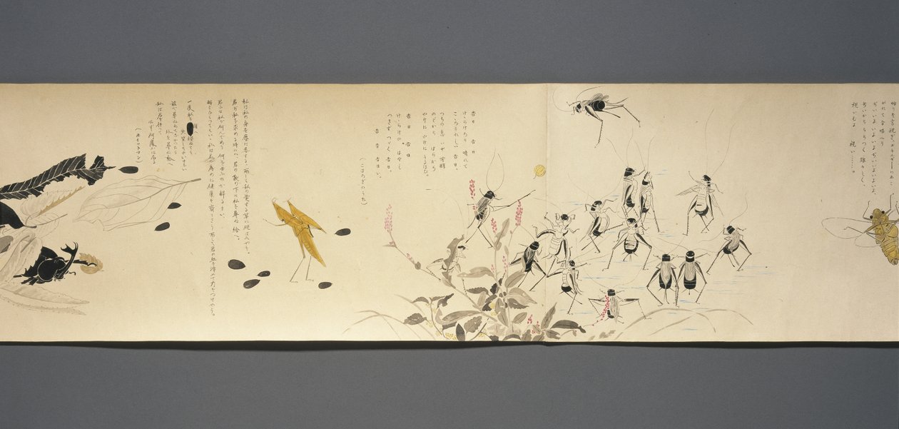 Wildlife Friends (Yasei no Tomo), Taisho Period, Taisho 7th Year, c.1918 (ink & wc on wove paper decorated with mica) by Ryoka Kawakami