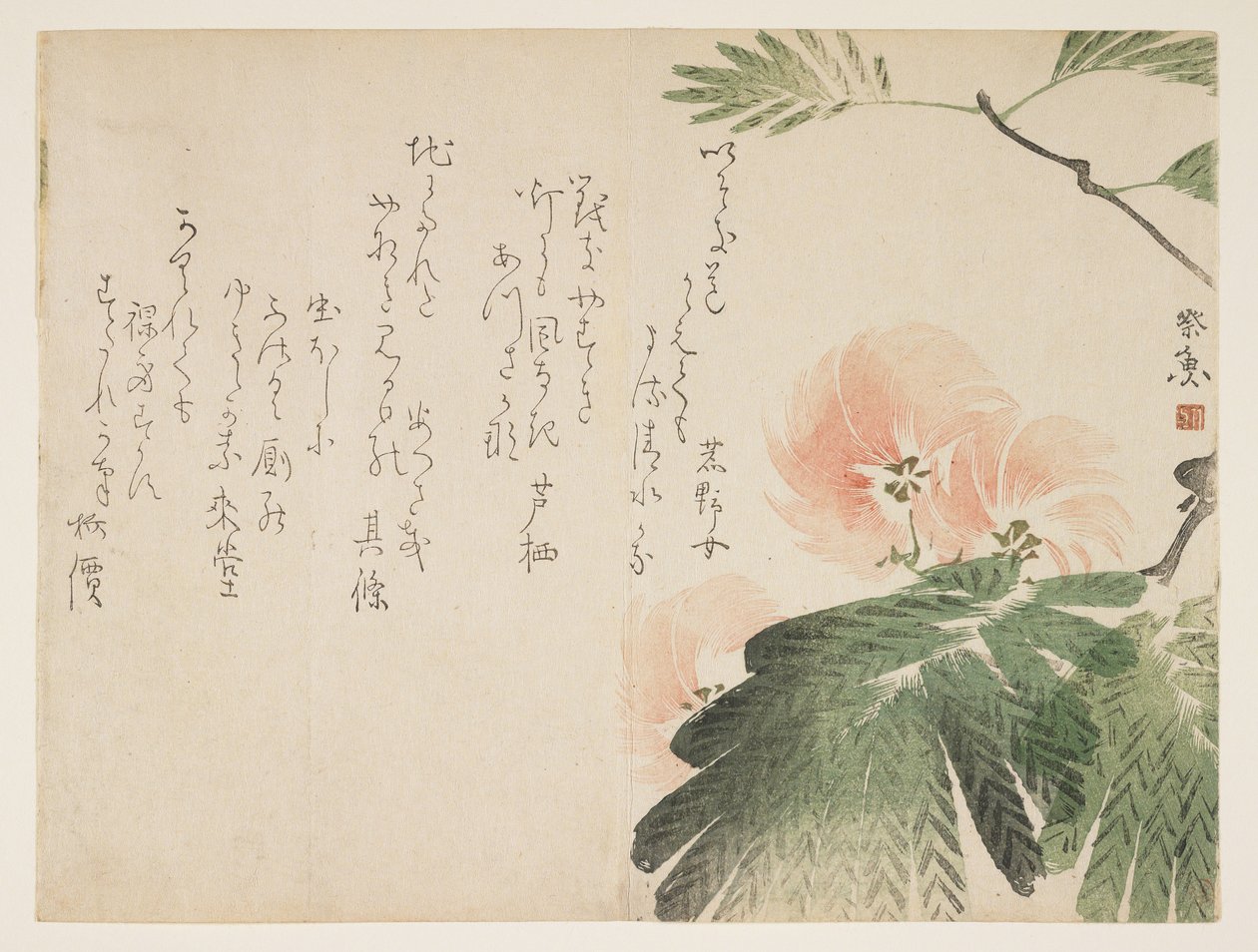 Çiçekli ipek ağacı, c.1830-43 (renkli tahta baskı) by Saigyo