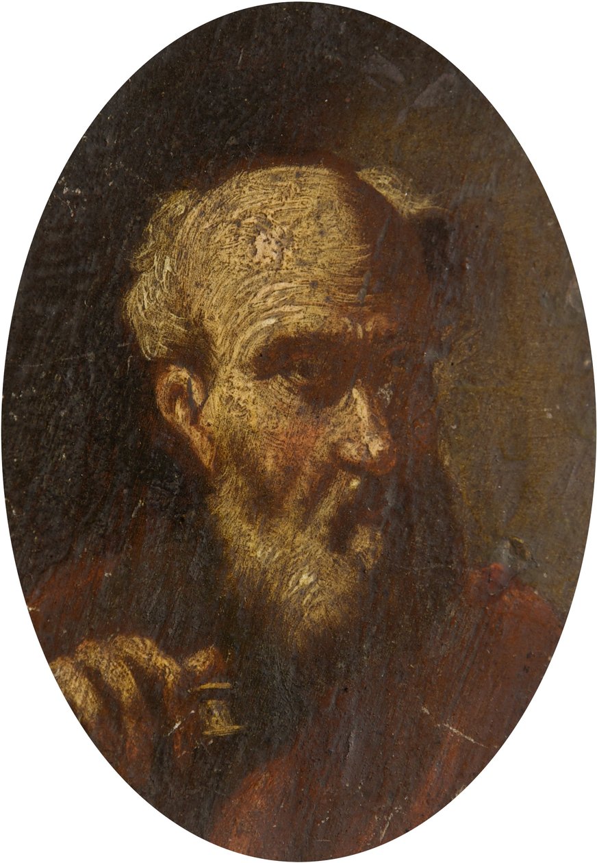 Yaşlı Bir Adamın Başı by Salvator Rosa