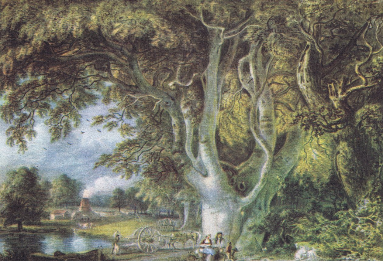 Oak Trees, Shoreham, Kent, İngiltere