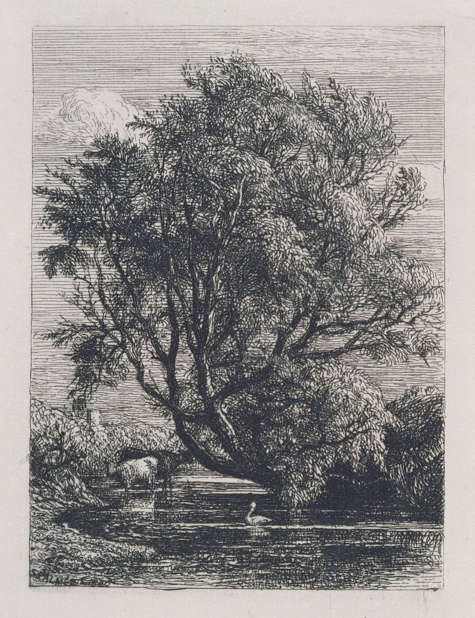 The Willow  by Samuel Palmer