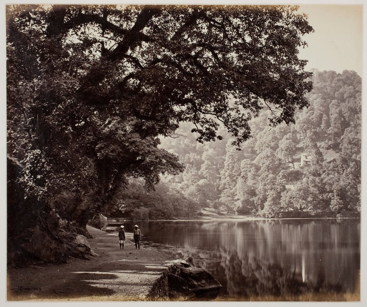 İsimsiz [suya yakın ağaçlar, Hindistan], 1870