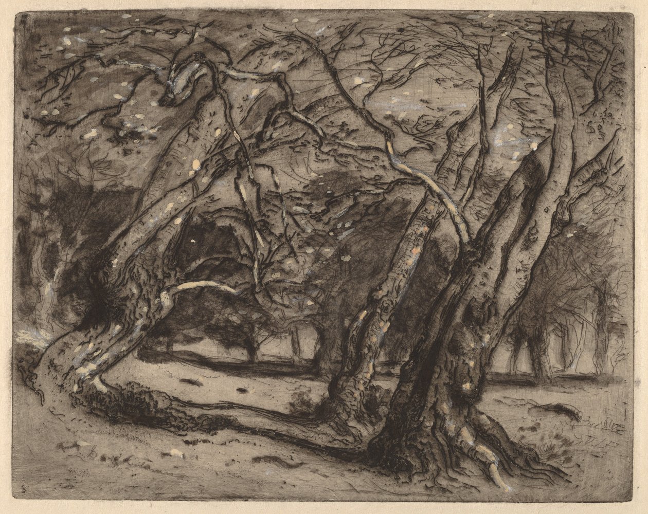 İsimsiz (Ormanlı Peyzaj) by Samuel Colman