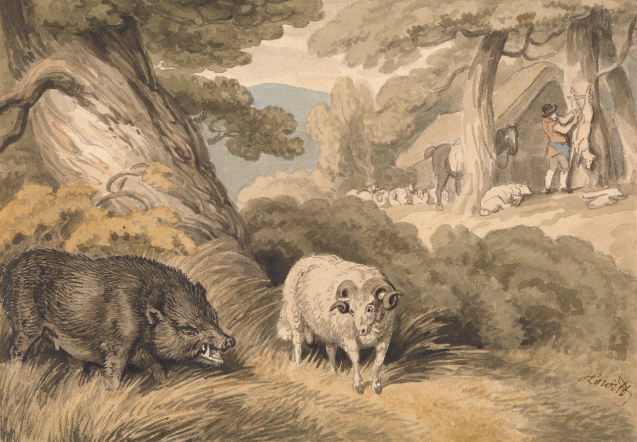 Bir Yaban Domuzu ve Koç by Samuel Howitt