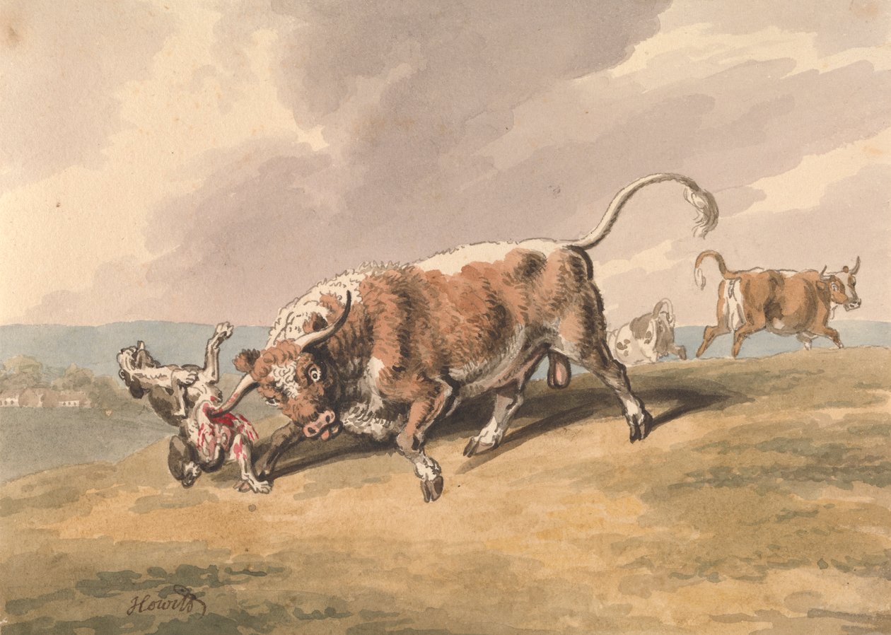Köpeğe Saldıran Boğa by Samuel Howitt