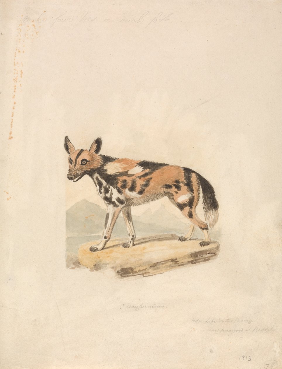 Habeş Köpeği by Samuel Howitt