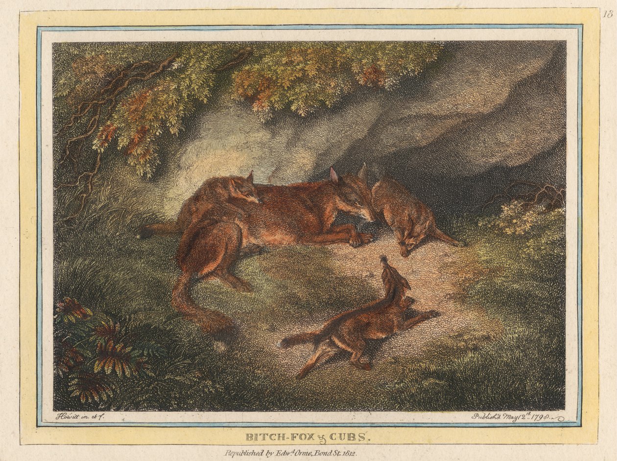 Kaltak Tilki ve Yavruları by Samuel Howitt