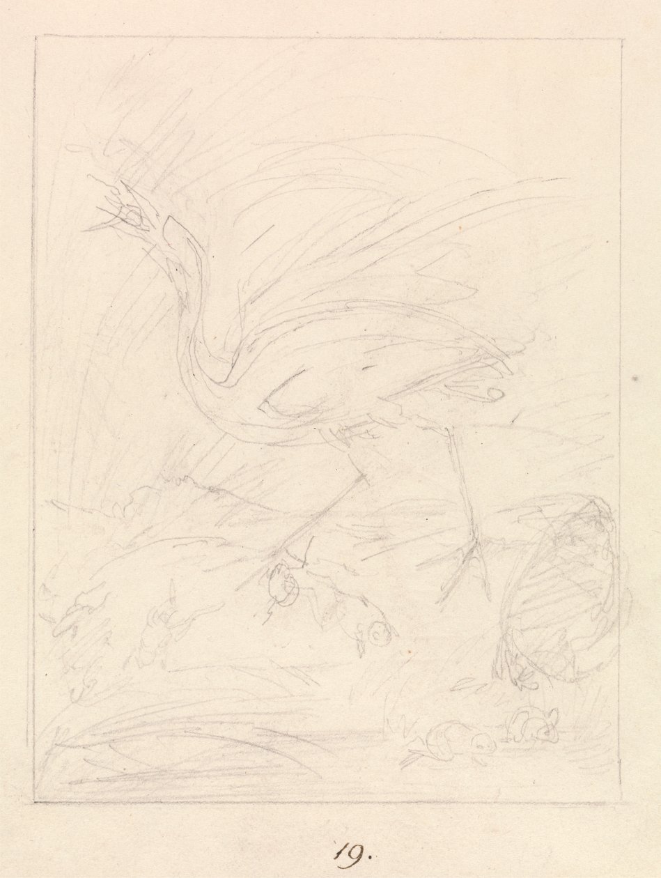 Turna ve Kurbağalar by Samuel Howitt
