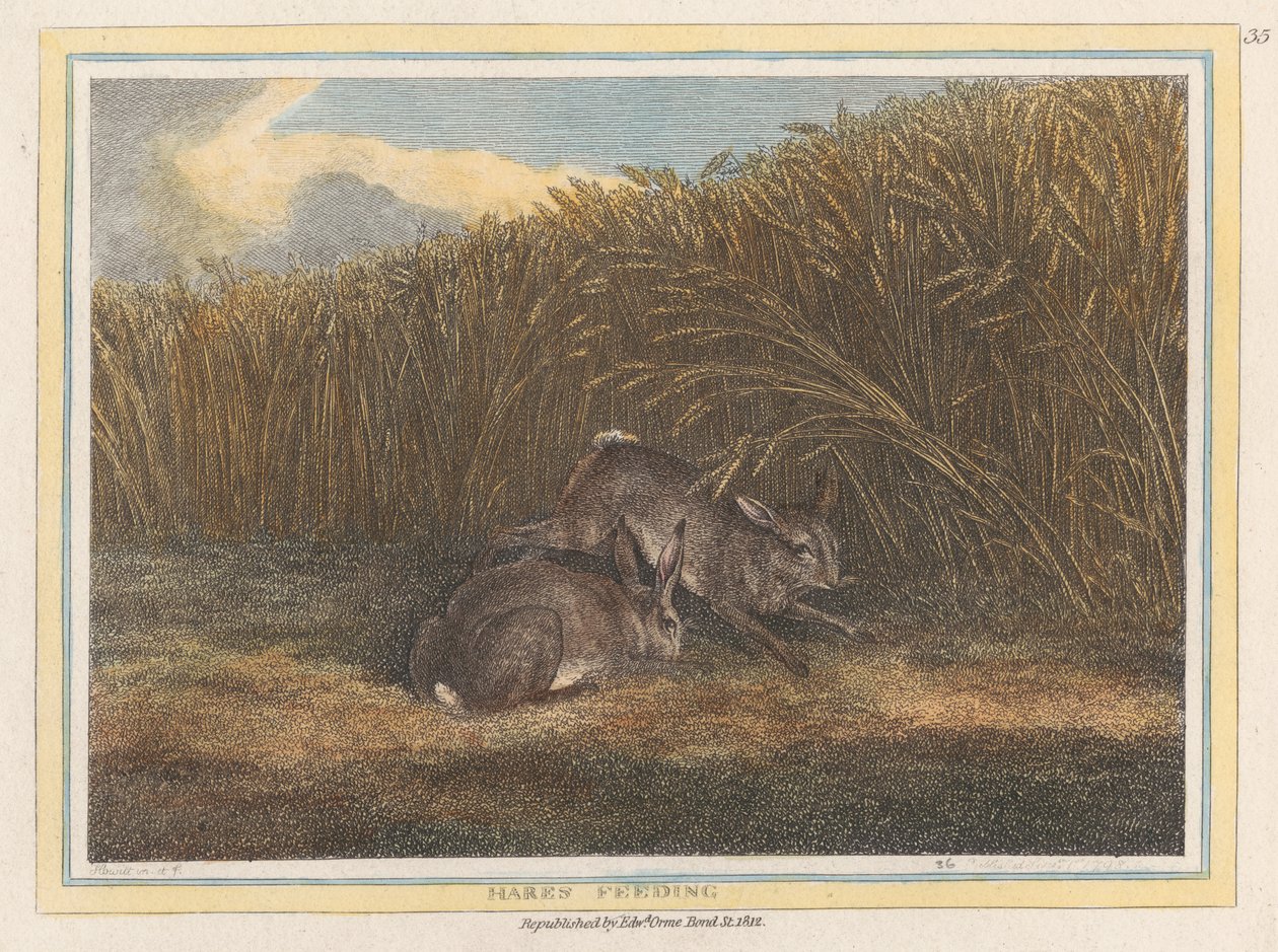 tavşan besleme by Samuel Howitt