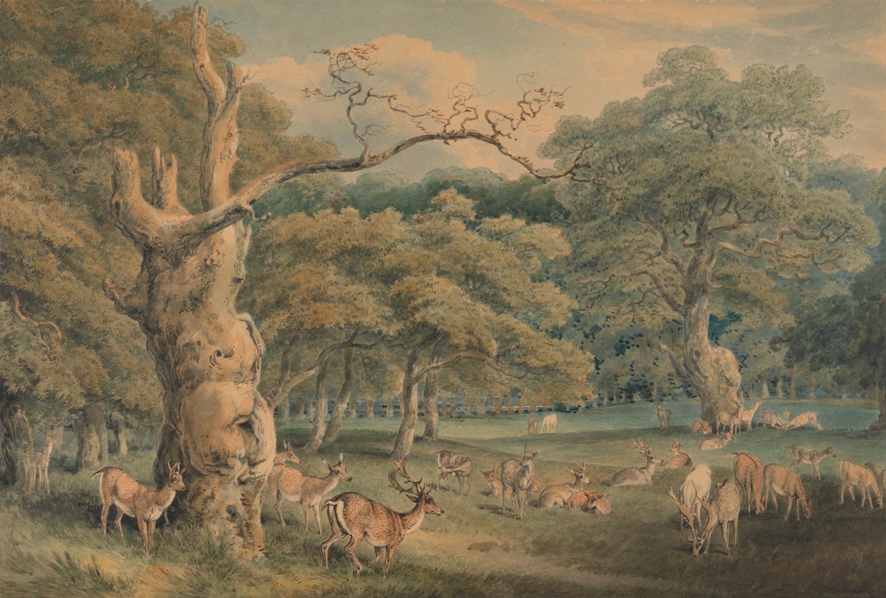 Hearne Meşesi, Windsor Ormanı by Samuel Howitt