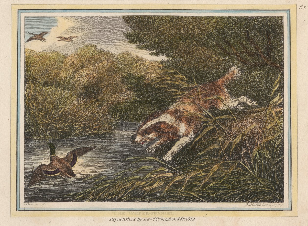Su Spaniel by Samuel Howitt