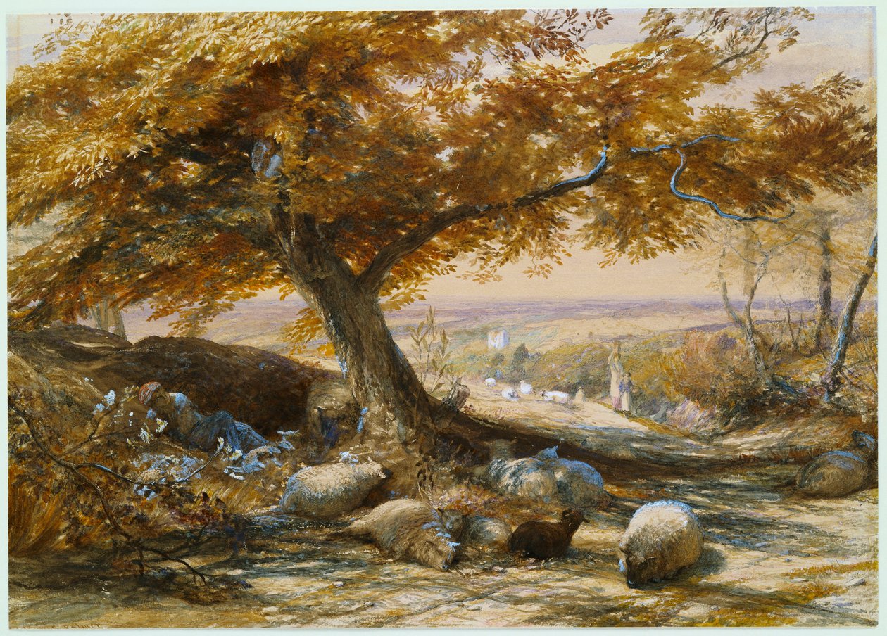 Gölgedeki Koyun, c.1851 by Samuel Palmer