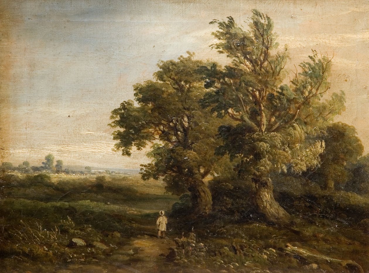 Ağaçlı Manzara, 1863. by Samuel Restell Lines