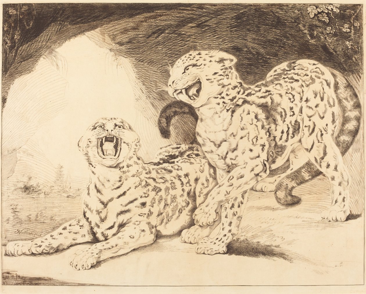 leoparlar by Samuel William Reynolds I after James Northcote