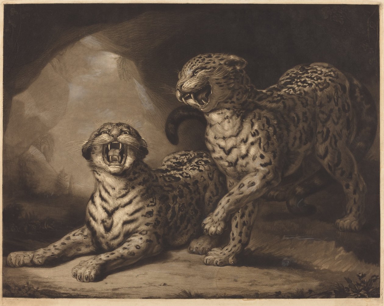 leoparlar by Samuel William Reynolds I after James Northcote