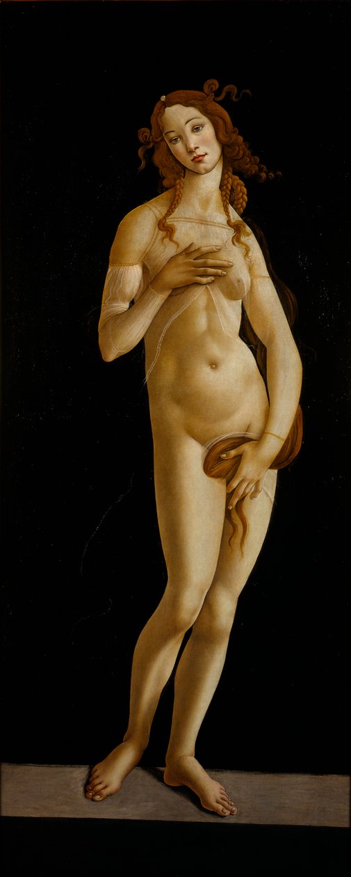 Venüs Pudica, yaklaşık 1485-1490. by Sandro Botticelli