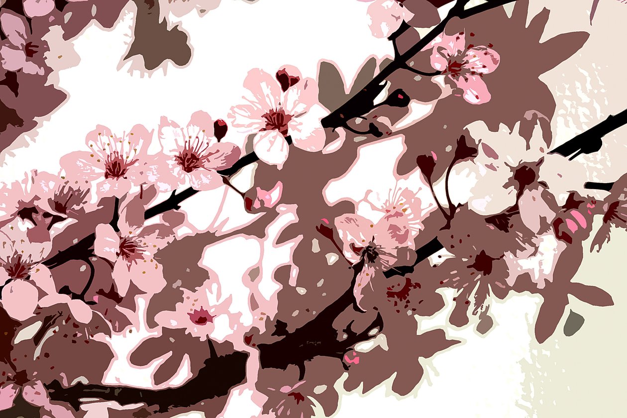 japon çiçeği by Sarah OToole