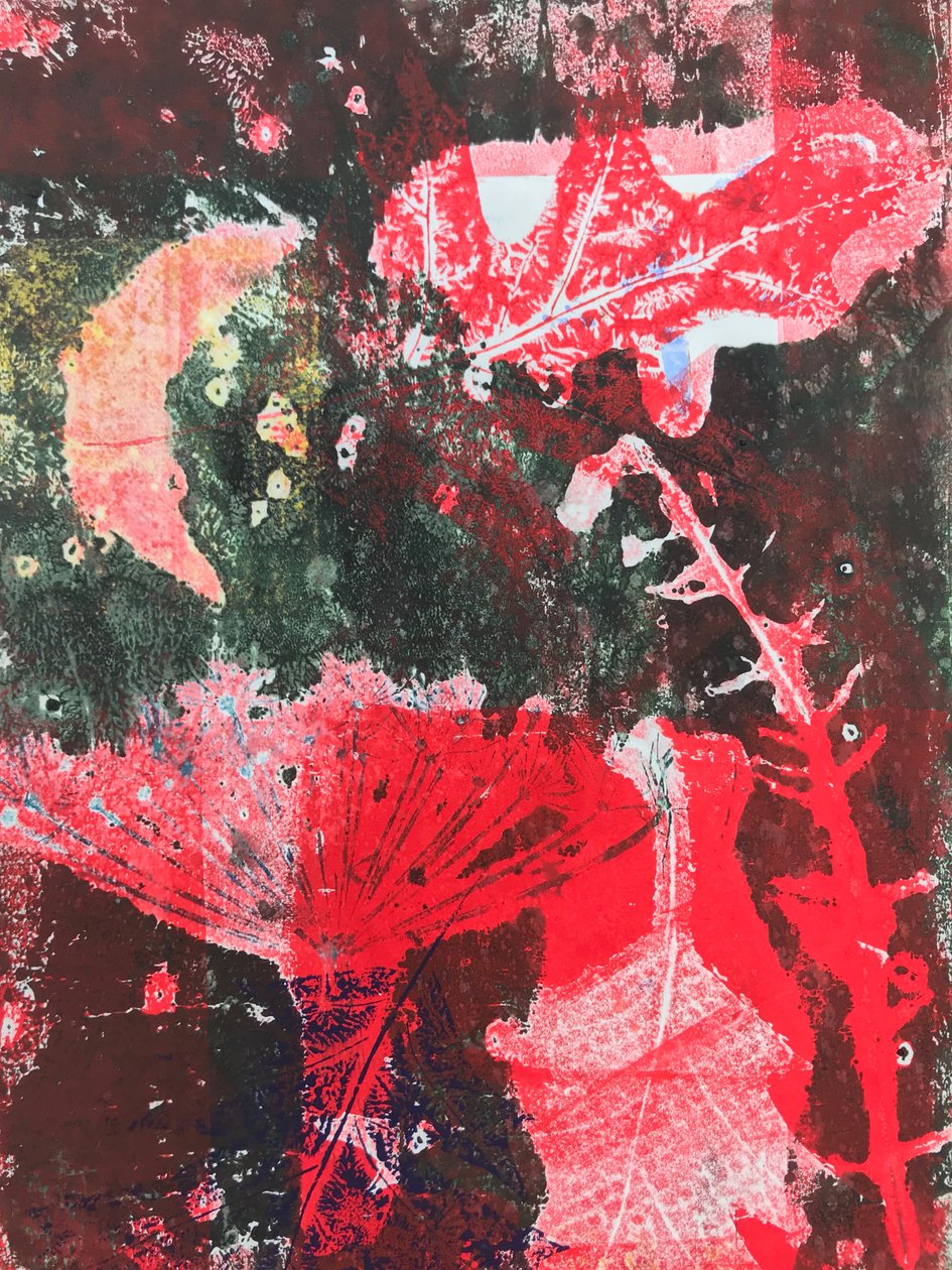 Kızıl ay (kağıt üzerine monoprint) by Sarah Thompson Engels