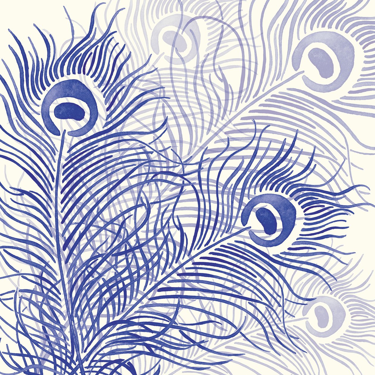 Tavus Kuşu Geçit Töreni, 2004 (dijital) by Sarah Hough