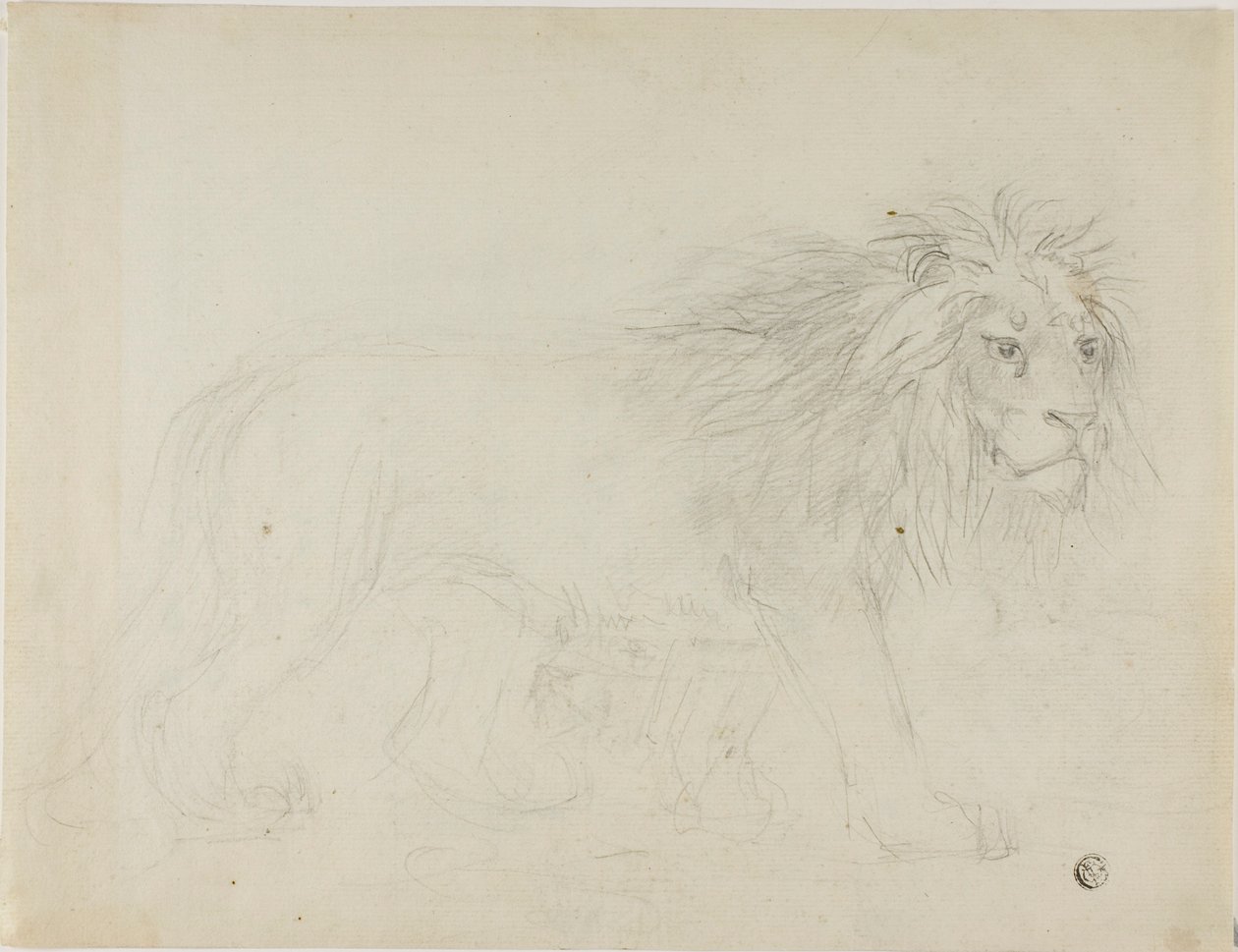 Aslan by Sawrey Gilpin