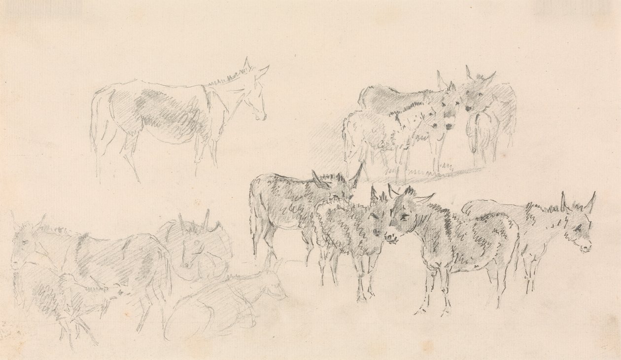 Eşek Çalışmaları by Sawrey Gilpin