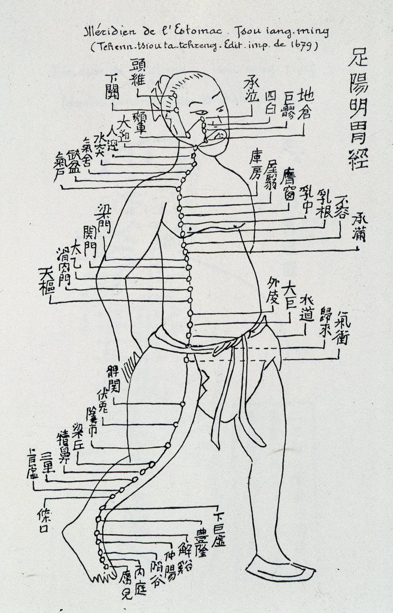 Akupunktur: “” Mide meridyeni””, ed. by School Chinese