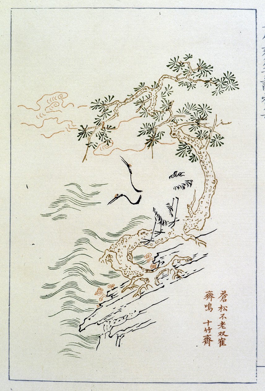 Nehir - Çince baskı, sd. by School Chinese