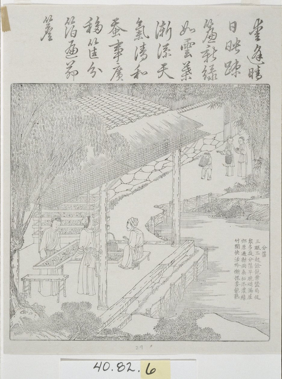 gravür seti, ipek kültürü by School Chinese