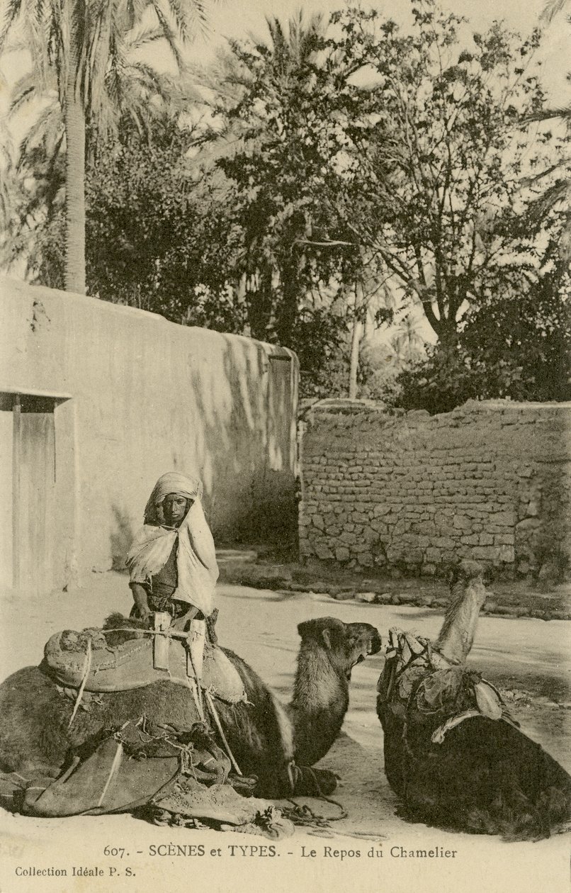 Le Repos du Chamelier, c.1890-1914 (s / b fotoğraf) by School French
