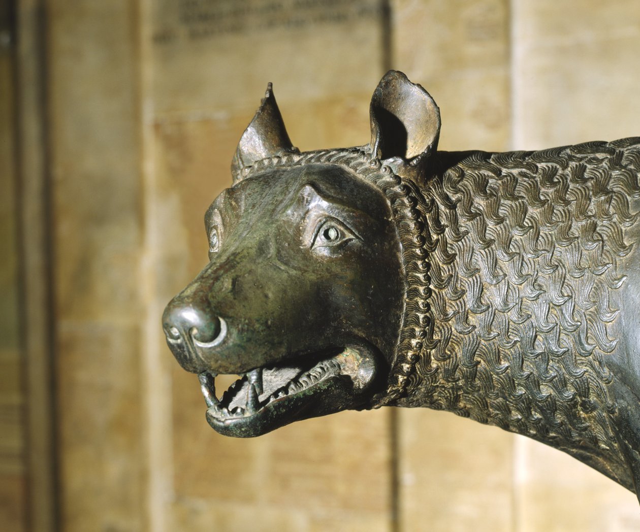 Capitoline Kurt (bronz) by School Italian