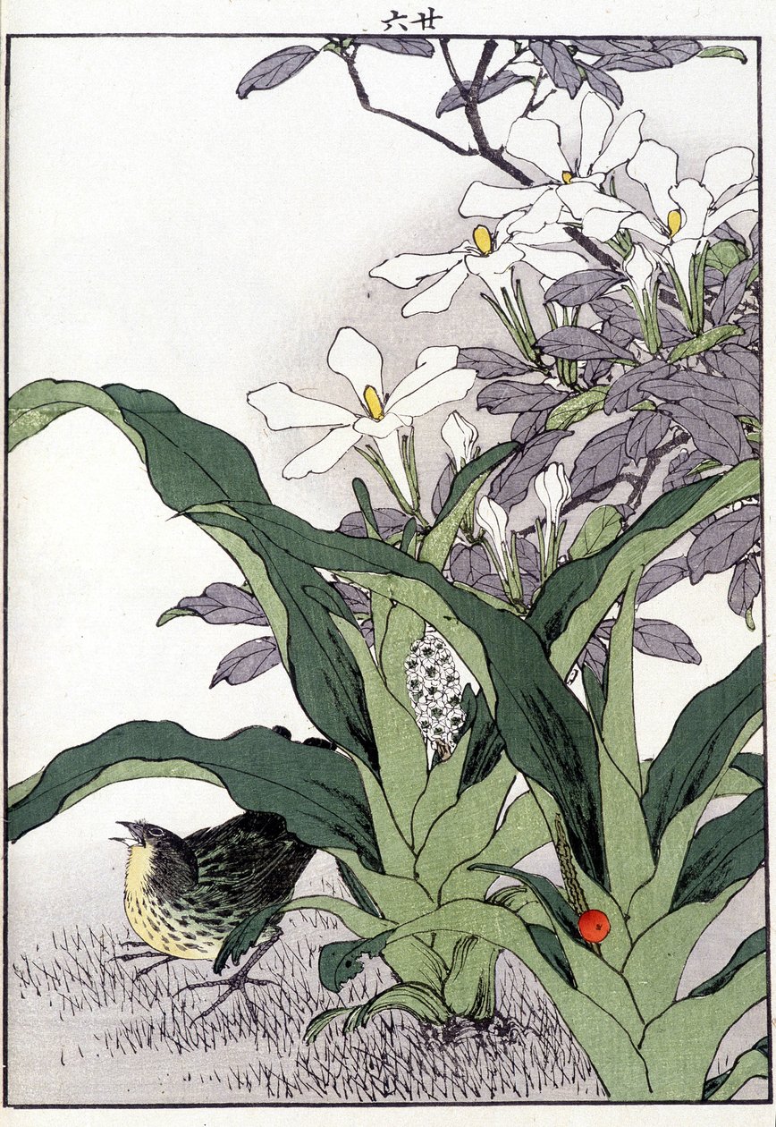 Çiçeklerdeki kuş - Japonca baskı by Japanese School
