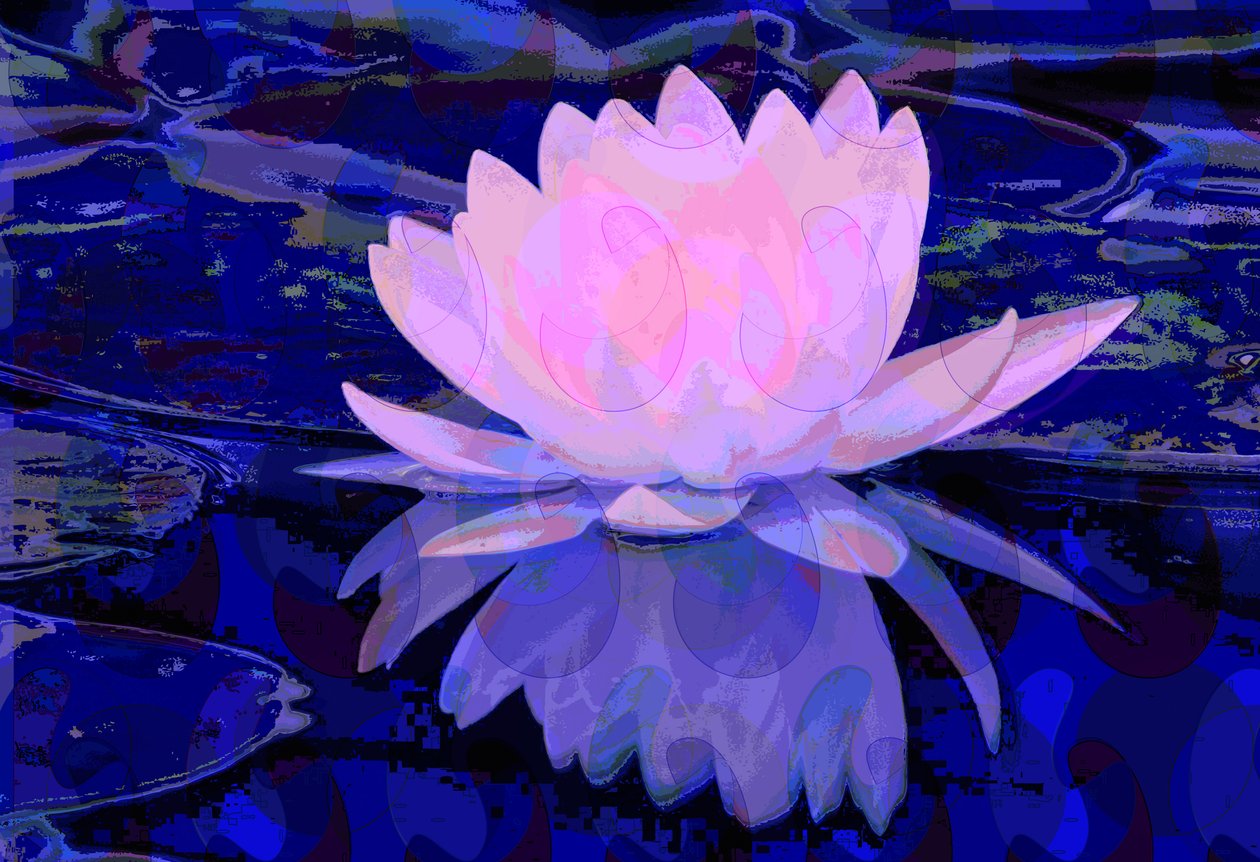 Pink Water Lily (digital) by Scott J. Davis