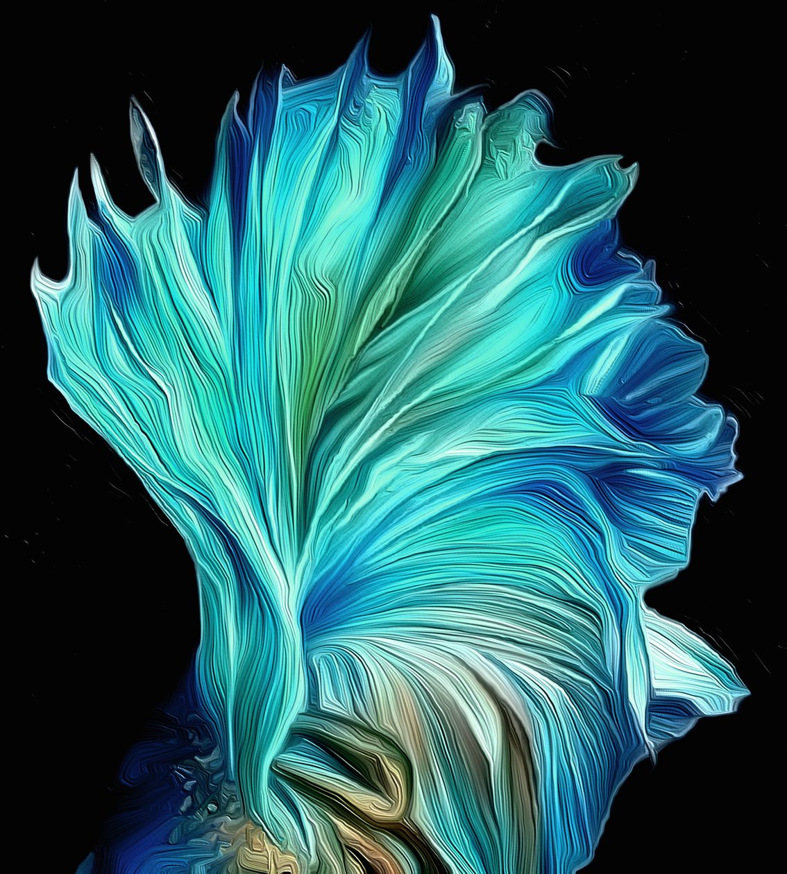 Fan by Scott J. Davis
