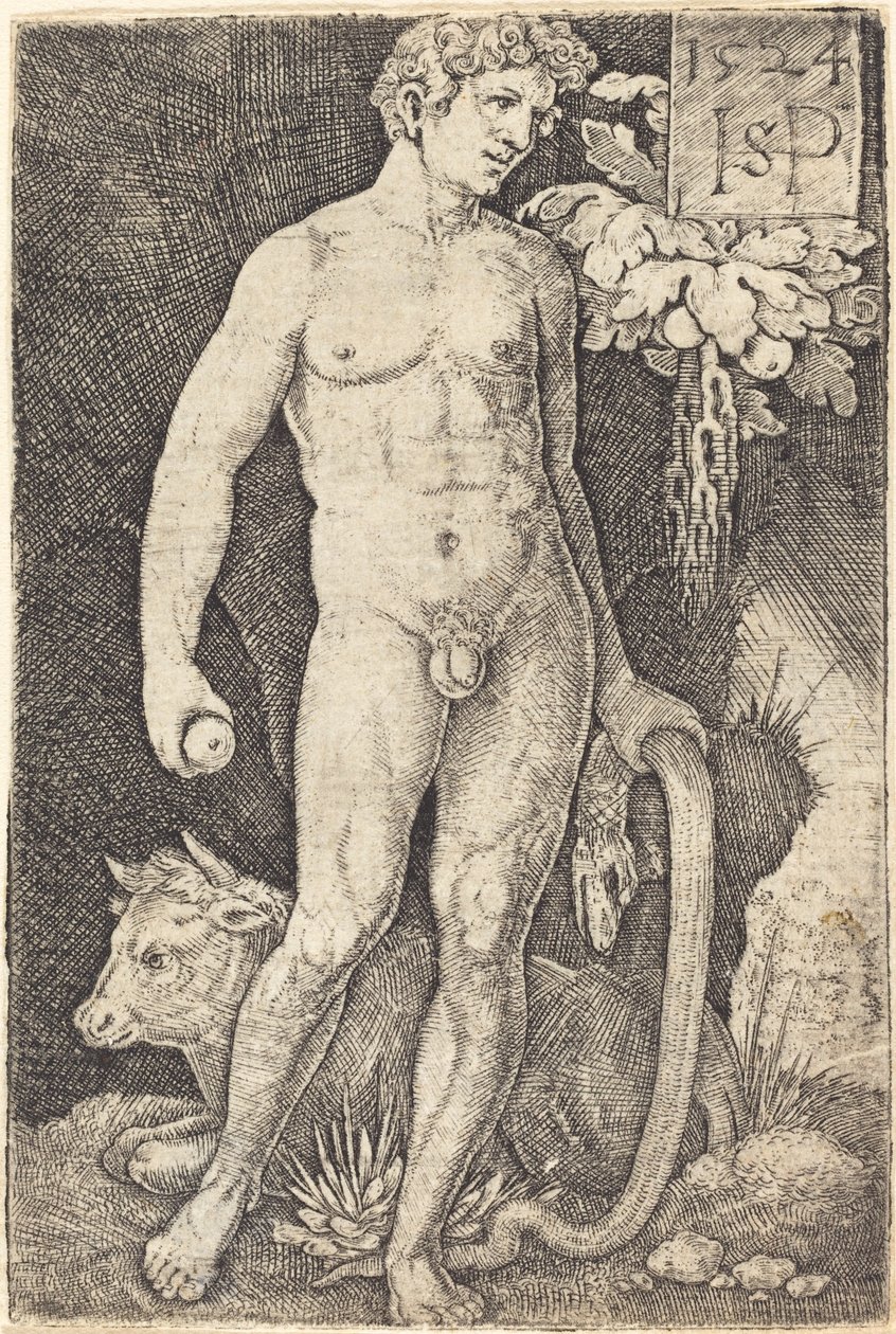 Adam Ayakta by Sebald Beham