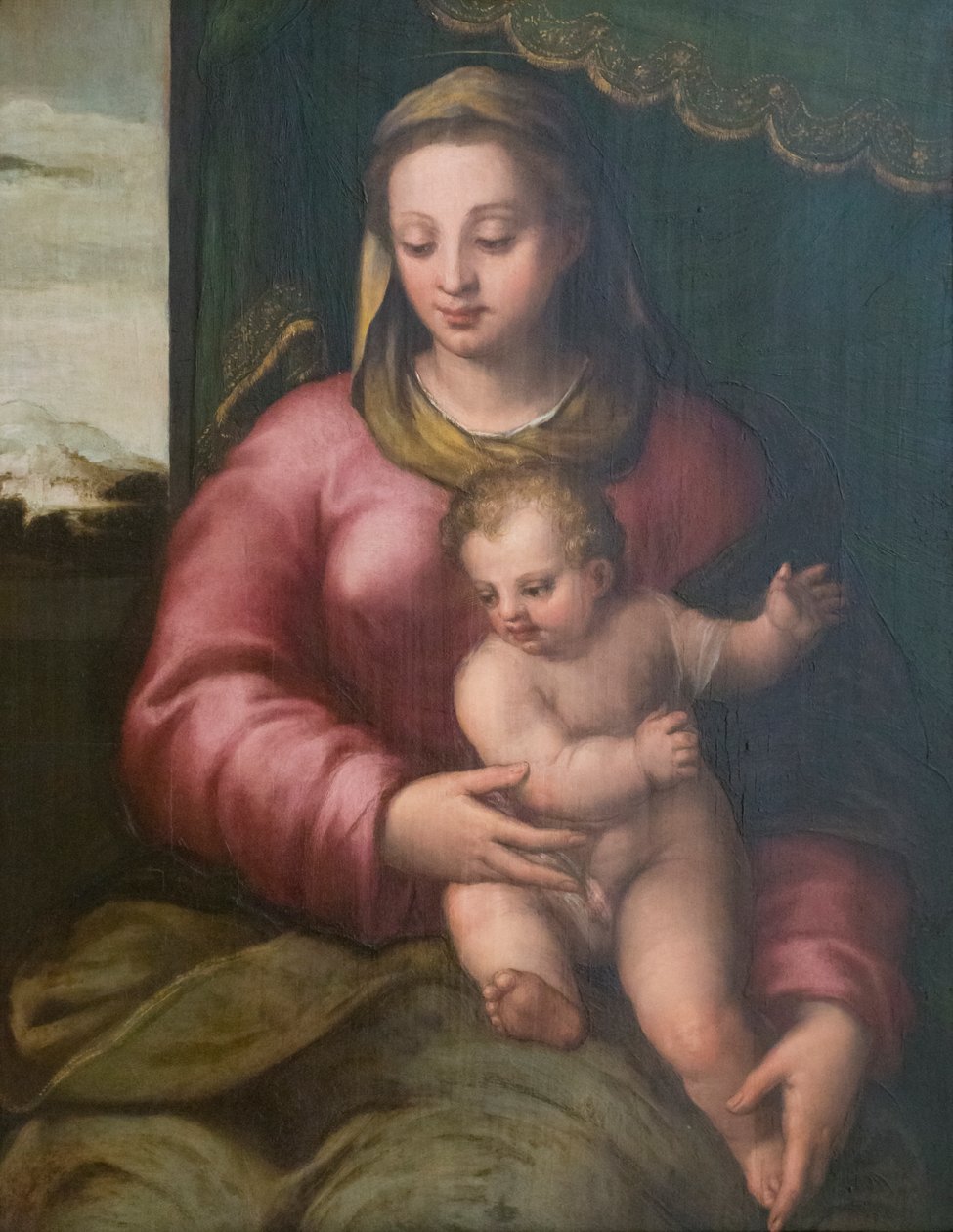 Bakire ve Çocuk by Sebastiano called Bastianino Filippi