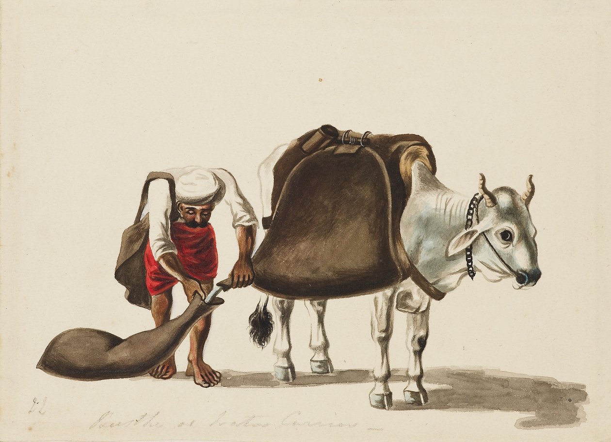 Su taşıyıcı, c1810 by Sewak Ram