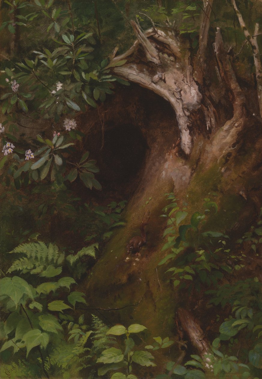 Sincap by Seymour Joseph Guy