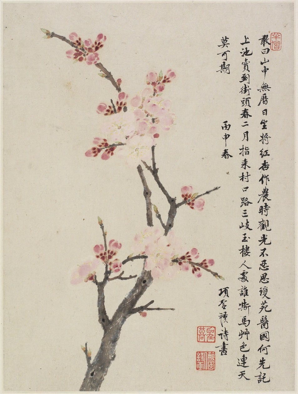 On Yaprak Albümü, 1656 (kağıt üzerine mürekkep ve renk) by Shengmo Xiang