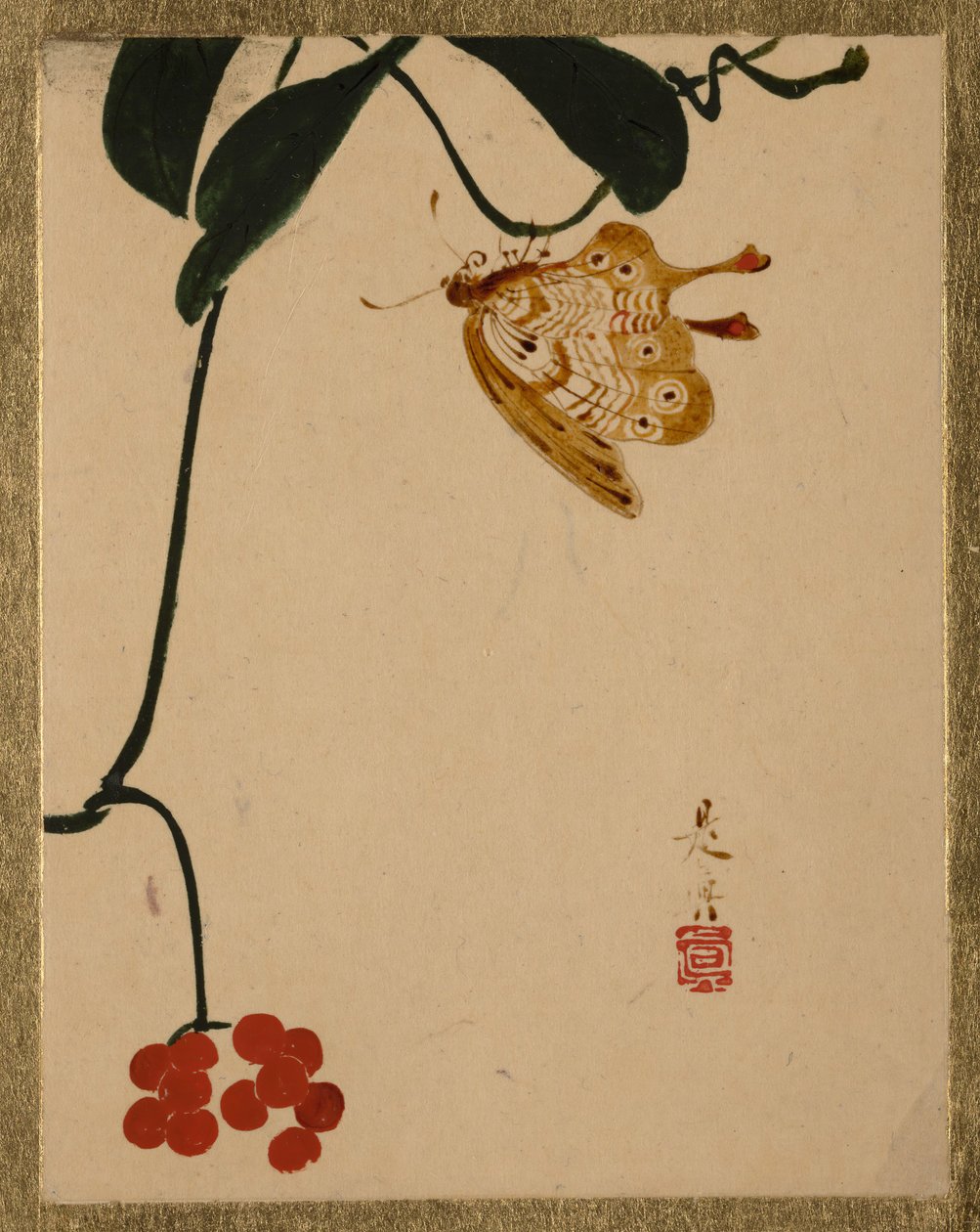 Red Berry Bitki ve Kelebek. by Shibata Zeshin