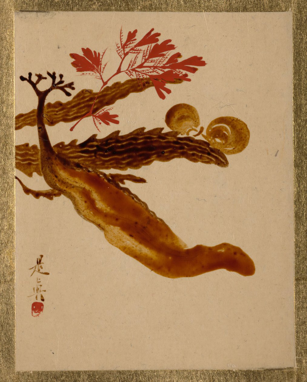 Deniz yosunu. by Shibata Zeshin