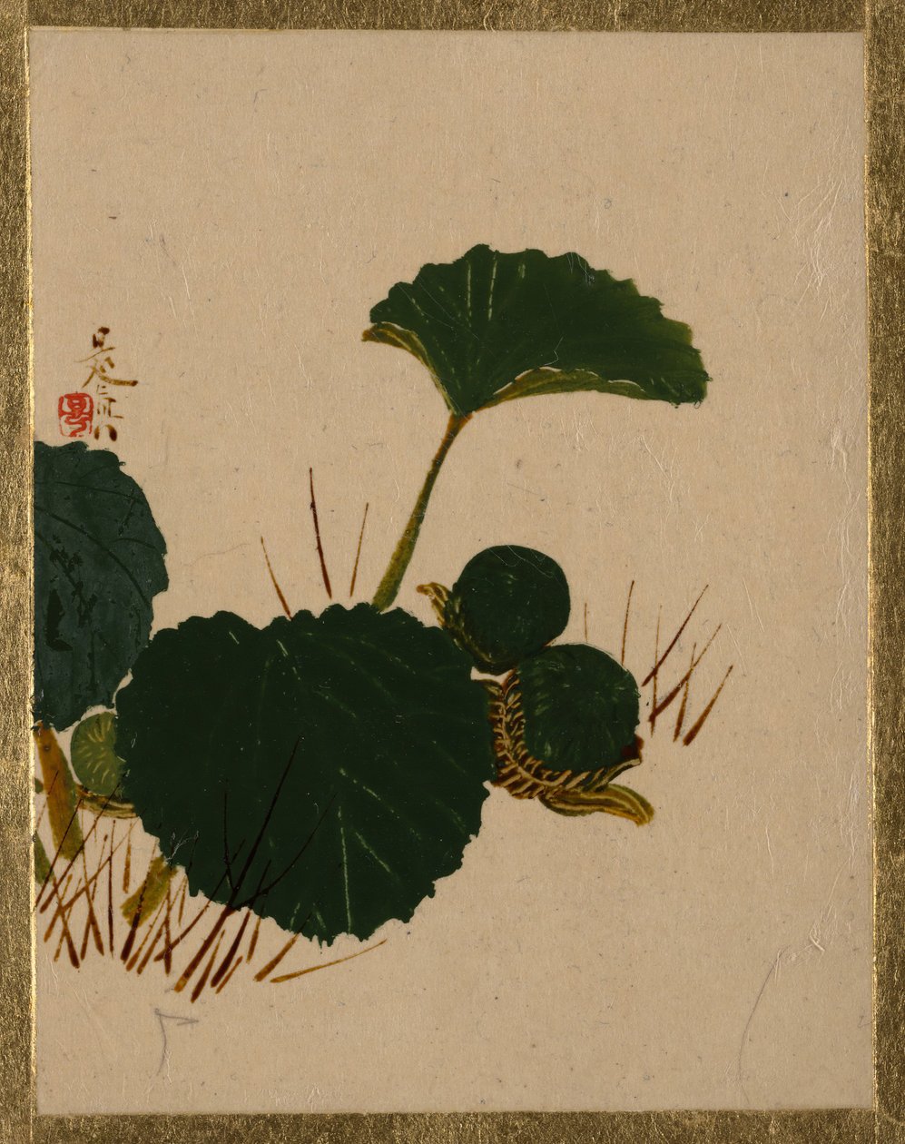 Yeşil Yapraklı Bitkide Solucan. by Shibata Zeshin