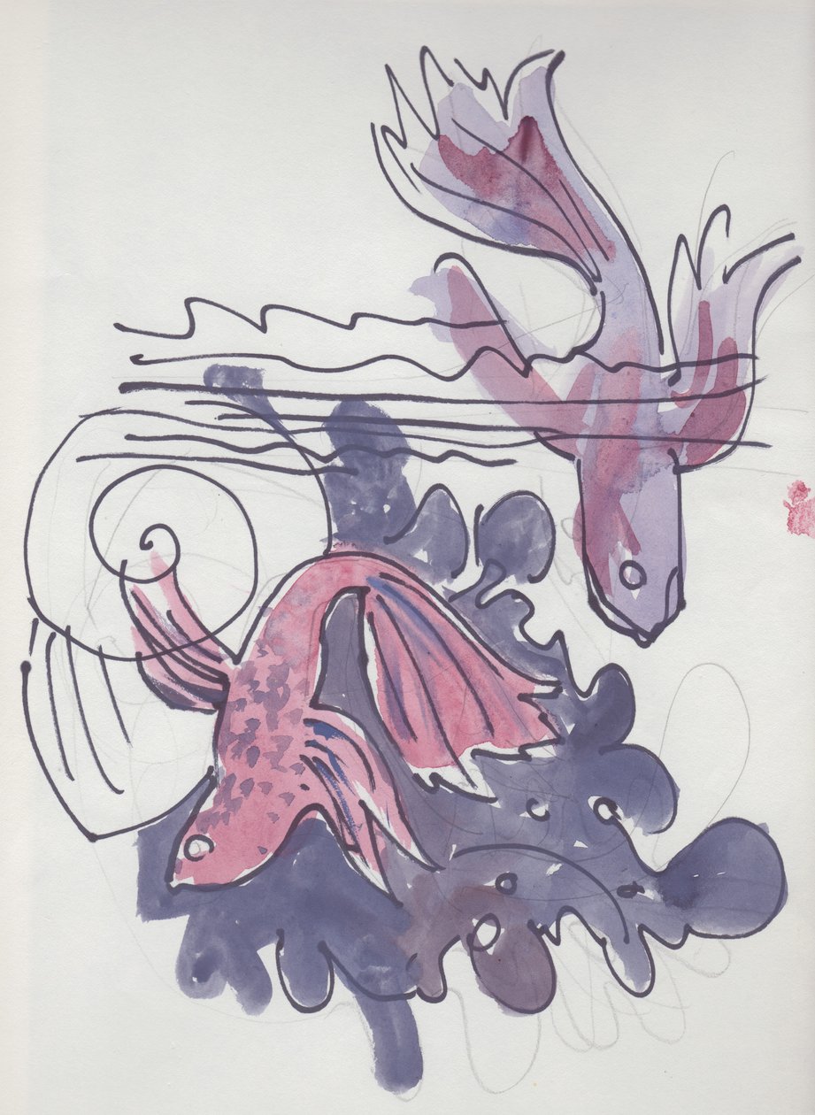 Balık çalışması, c1970. by Shirley Markham