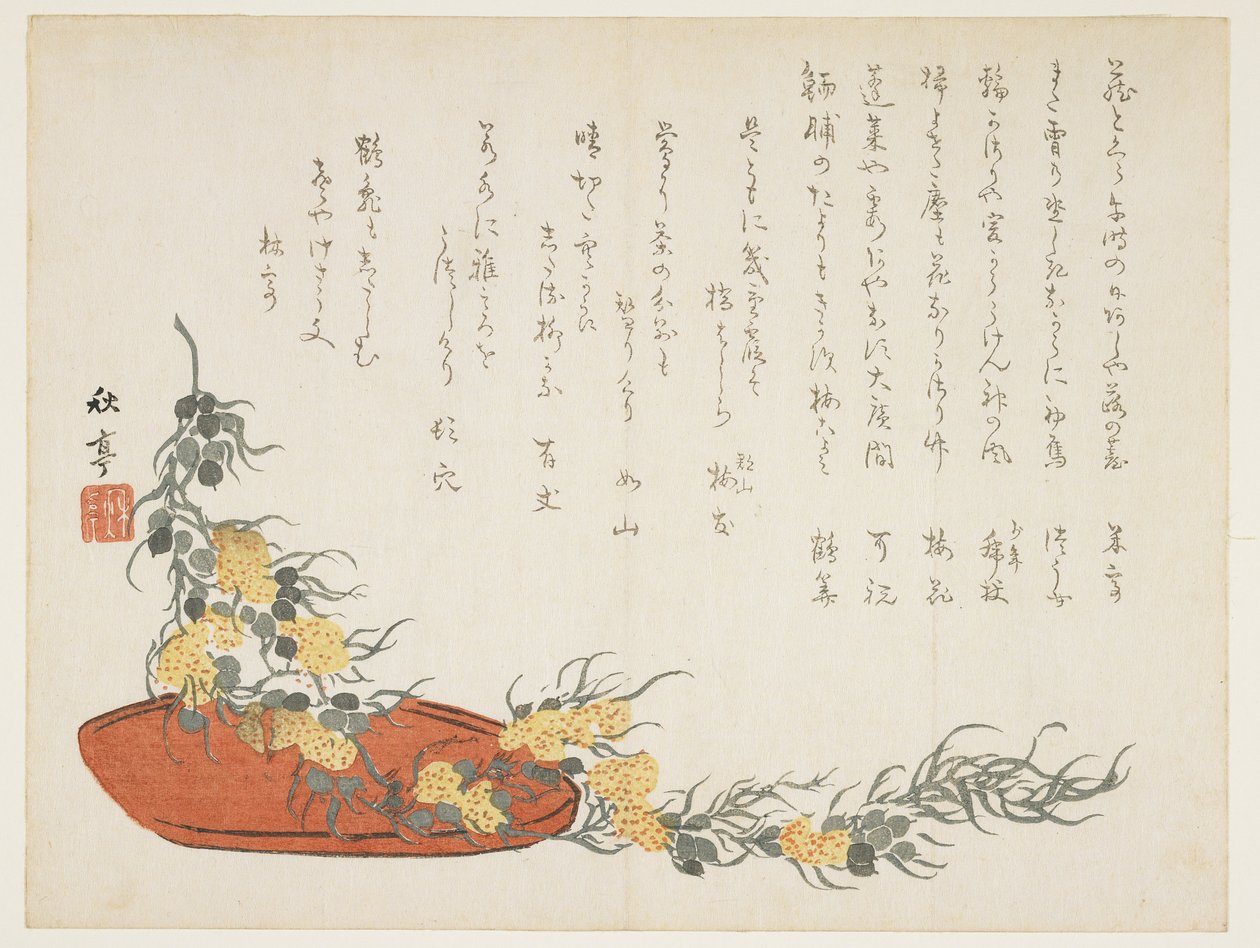 (Asma flama), c. 1854-1859 by Shûtei Tanaka