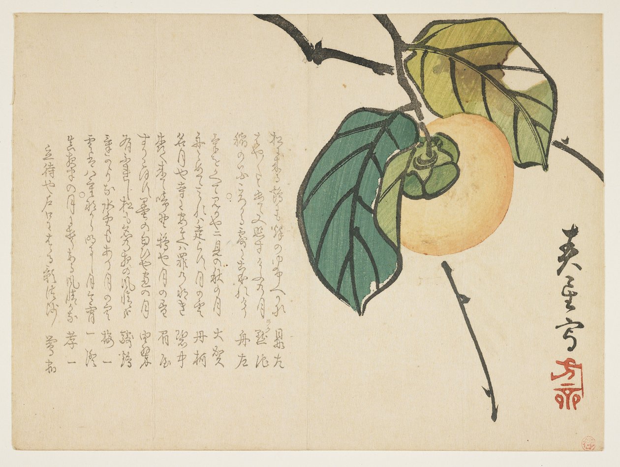 Trabzon hurması, c.1854-59 (renkli tahta baskı) by Shunsei