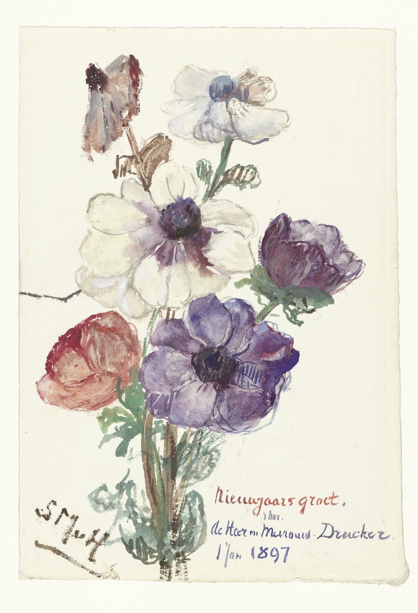 Anemon ile yılbaşı selamları by Sientje Mesdag van Houten